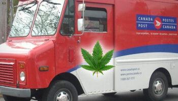 Cannabis Industry Takes Steps To Manage Canada Post Strike