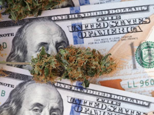 Marijuana Property Insurance Rates Drop&hellip;