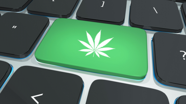 NORML’s Facebook Was Hacked