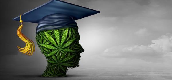 Kent State University Expands Cannabis…