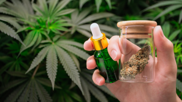 Nebraska: Omaha Tribe Approves Marijuana…
