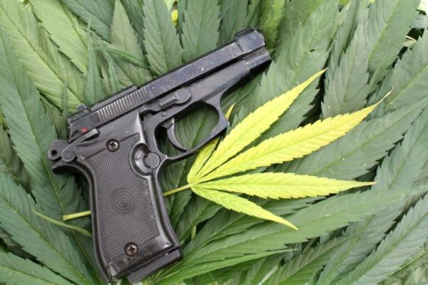 photo of Up in Smoke: SCOTUS Torches the Federal Marijuana Gun Ban image