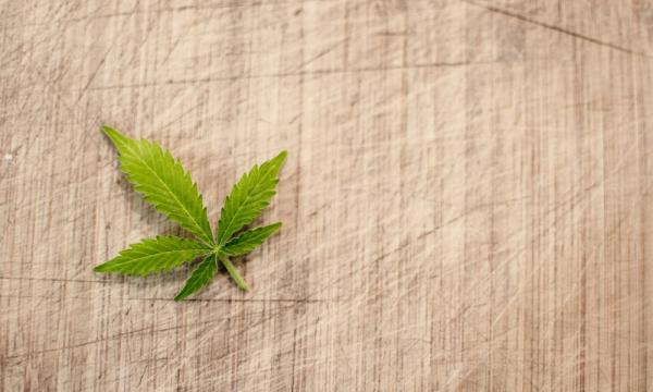 photo of Mississippi Agriculture Commissioner Slams Medical Marijuana Bill That Gives His Agency A Regulatory Role image