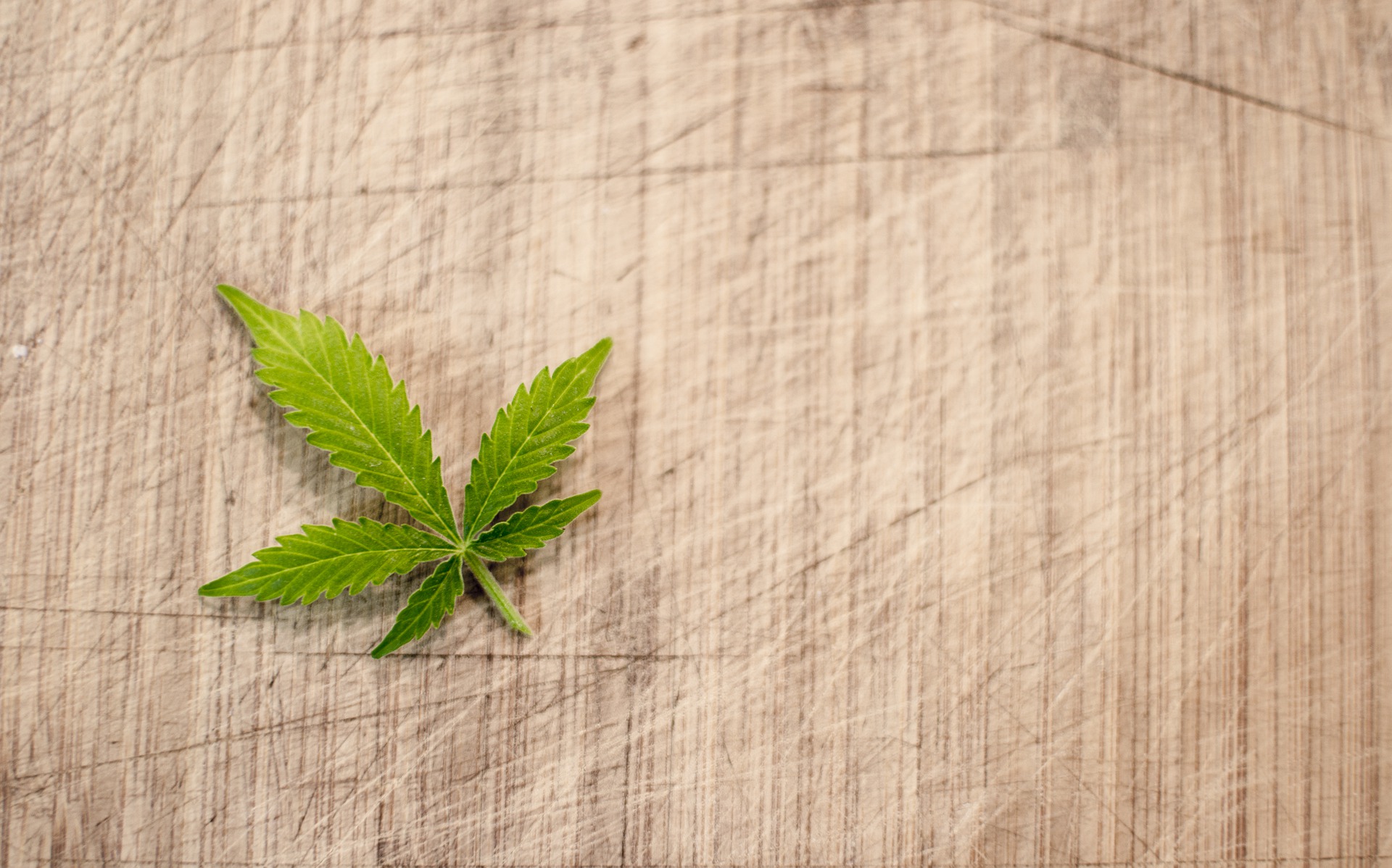 photo of Marijuana Emerges As Key Issue In Nevada U.S. Senate Race image