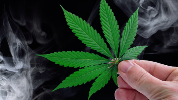 photo of Prohibitionists Push for Recriminalization, NORML Pushes Back image