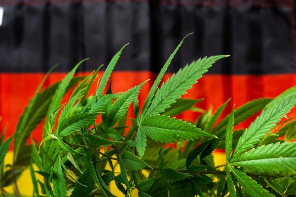 photo of Flora Growth expands German cannabis presence with Curaleaf agreement, parallel import business image