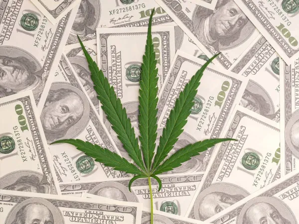 New York Cannabis Reinvestment Program…