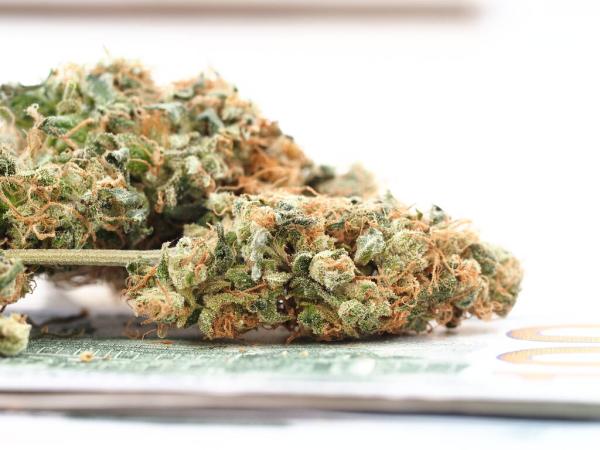 Ohio Marijuana Sales Reach $777 Million…