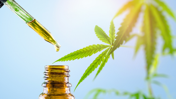 Clinical Trial: Cannabis Extract…