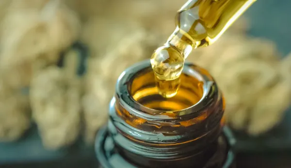 Study: Patients Using THC- and CBD-Rich…