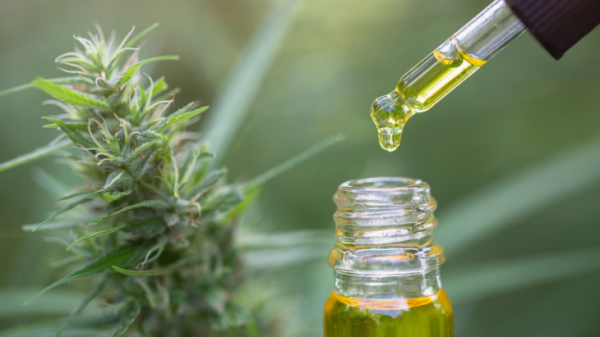 Clinical Trial: Plant-Derived Cannabis&hellip;