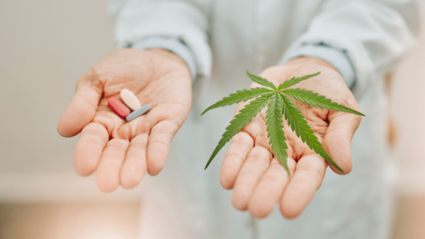 Analysis: State-Authorized Medical…