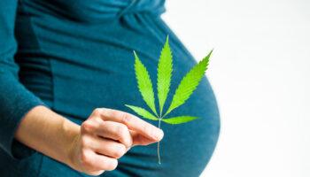 photo of No Link Found Between Prenatal Cannabis Use And Early Childhood Disorders image