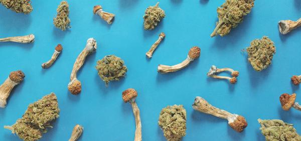 Survey: Americans Microdose Cannabis&hellip;