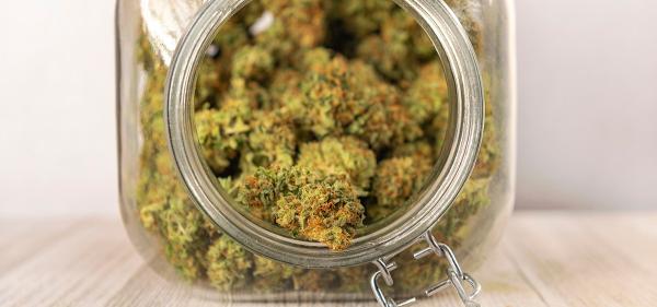 Virginia Passes Adult-Use Cannabis…