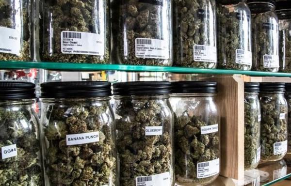 New Mexico cannabis sales down $4.3…