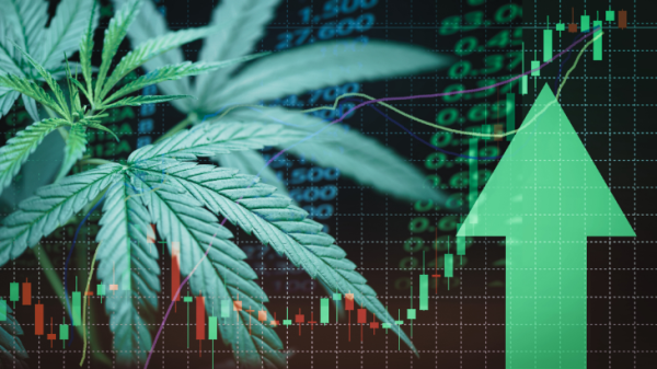 Analysis: Adoption of Medical Cannabis…