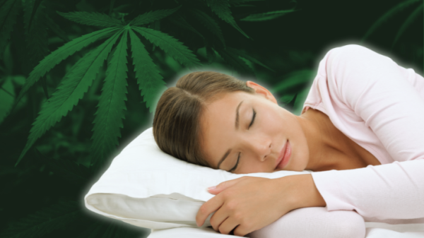 Cannabis Provides Benefits for Sleep…