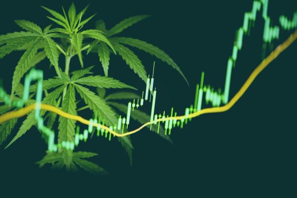 photo of City View Green decides to officially ditch cannabis for tech image