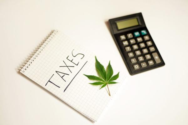 photo of State’s coffers filling with cannabis tax revenue image