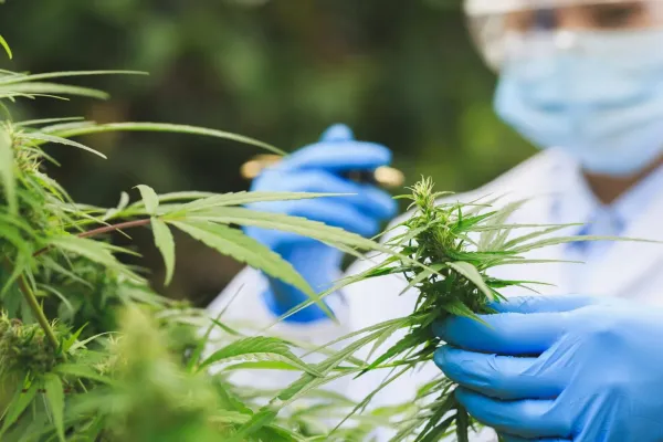 Oklahoma Lawmakers to Review Medical&hellip;