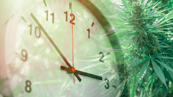 The Clock Is Ticking on Cannabis…
