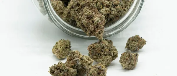 Vermont Cannabis Board Advances…
