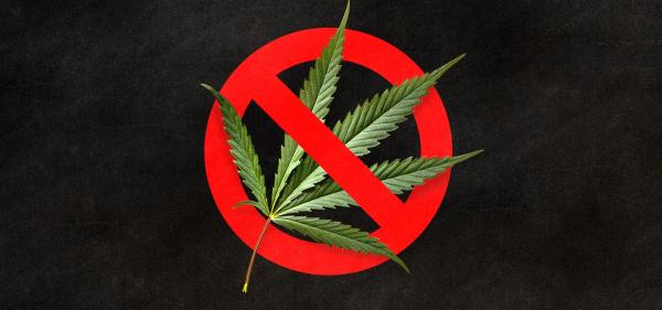 photo of Kenya High Court Rejects Legalizing Cannabis Use for Rastafarians   image