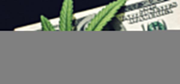 Aurora Cannabis Urges Shareholders to Reject Curaleaf’s…