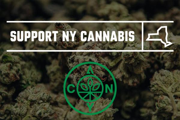 photo of Report: New York cannabis trade org reshuffles as four board members depart image