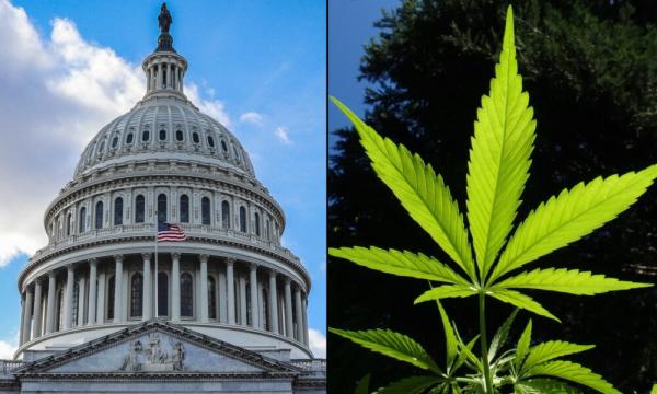 photo of GOP Congressional Committee Approves Bill To Block Marijuana Rescheduling, While Rejecting State Cannabis Protections… image