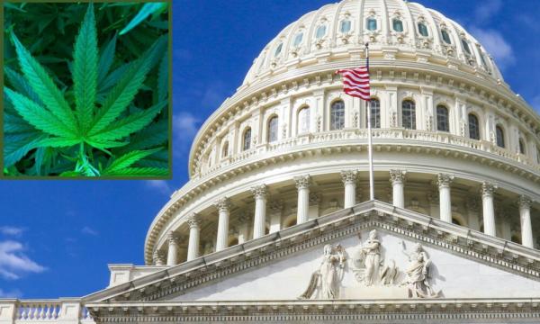 photo of GOP Congressional Panel Directs Biden Admin To Explain Marijuana Rescheduling Decision, Saying It’s ‘Concerned’… image