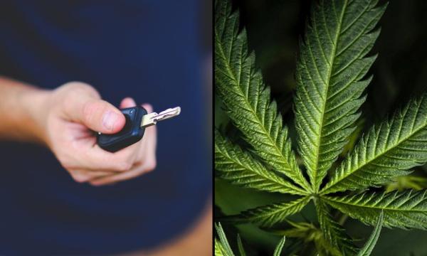 photo of Federal Agency Urges States To Mandate Marijuana-Impaired Driving Warning Labels As National Prohibition Blocks Broader… image