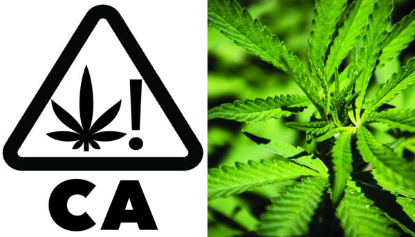 California Public Health Department Aims…