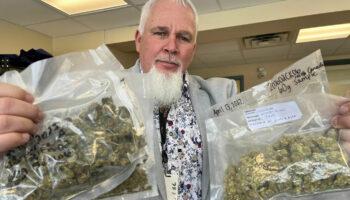 How a Cannabis Crash is Weeding Out The…
