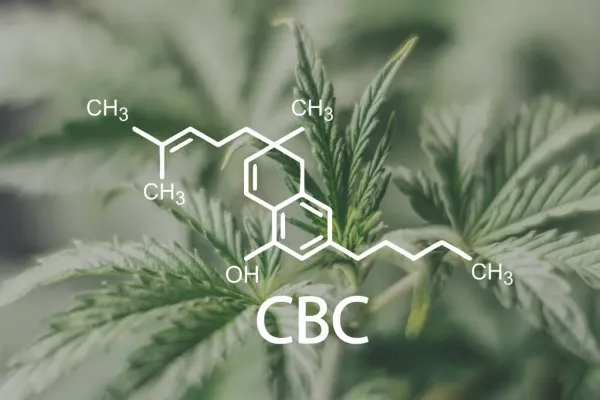 Cannabichromene (CBC)-Derived Compounds…