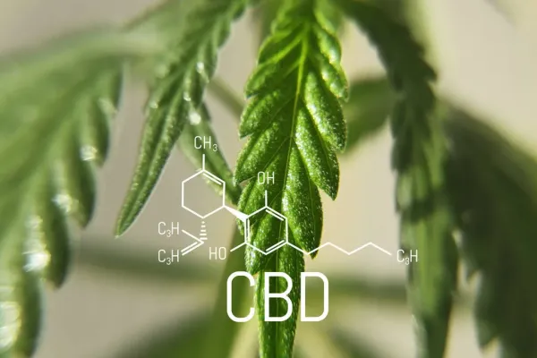 Study Finds CBD Delayed Seizures by 16&hellip;