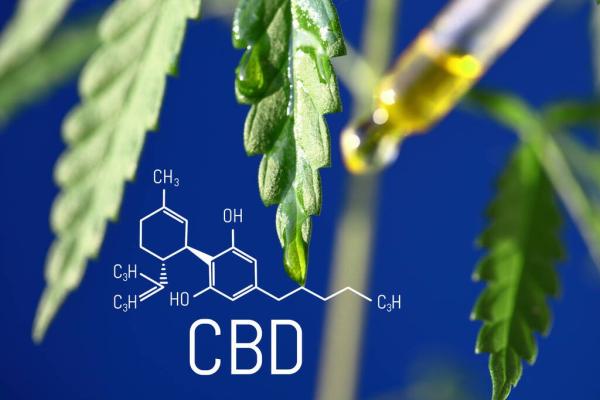 Study Finds CBD Suppresses HER2 Breast…