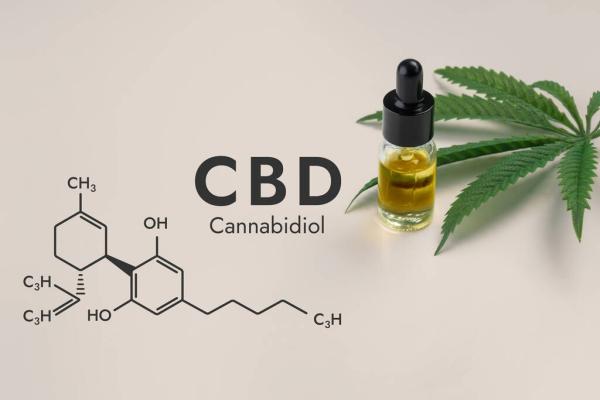CBD Reduced Seizure Severity and Memory&hellip;