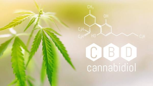 Review of 19 Studies Finds CBD May Help…