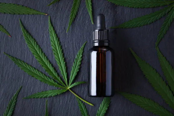 Study Finds CBD Inhibits Dental Plaque…