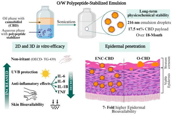 Study Finds New CBD Formulation…