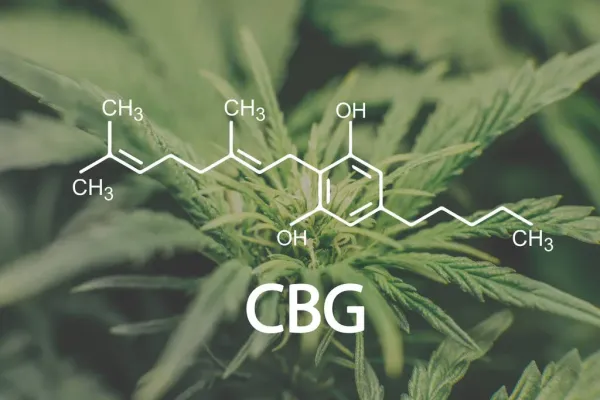 30 CBG Studies Published in 2026&hellip;