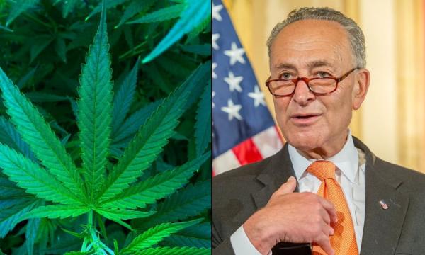 photo of Schumer Slams ‘Bigoted’ Marijuana Laws At Rally, Saying His Federal Bill Will Legalize ‘The Right Way’ image