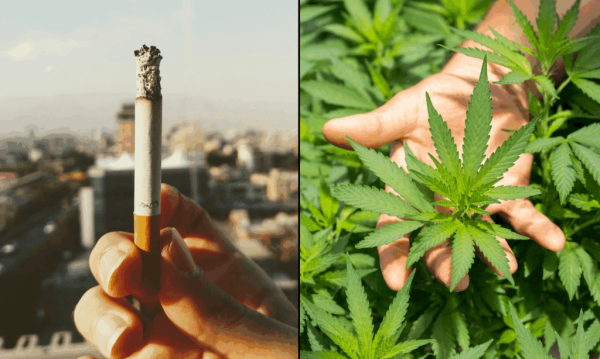 More Americans Now Use Marijuana Than…