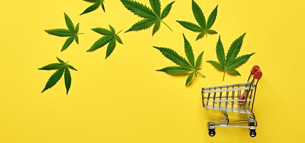 New York Total Cannabis Sales Surpass $2…