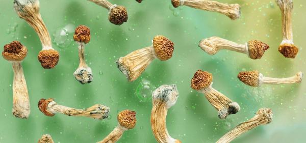 Study: Oregon Psilocybin Program…