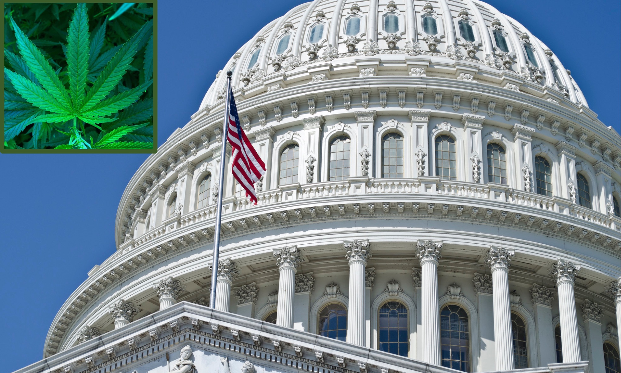 photo of Congress Schedules Hearing To Discuss Ending Marijuana Prohibition image
