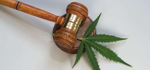 Lawsuit Claims Missouri Cannabis&hellip;