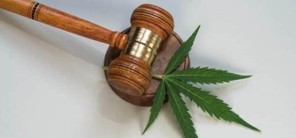 Hemp Companies Sue Maryland Over…